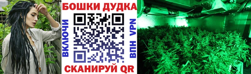 Купить где  Изобильный  Каннабис конопля 